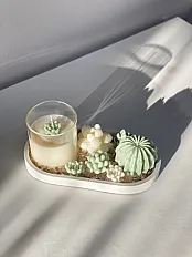 Sukulenti zeleni set