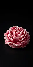 Grand Peony