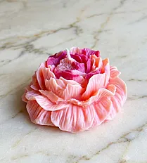 Pettite peony