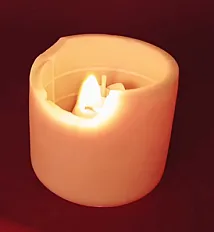 Hidden Tulip Candle