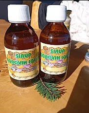 Sirup borovih iglica