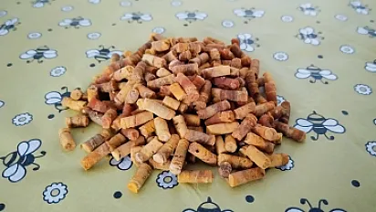 Perga (pčelinji hljeb)