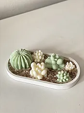 Sukulenti set  — slika 2