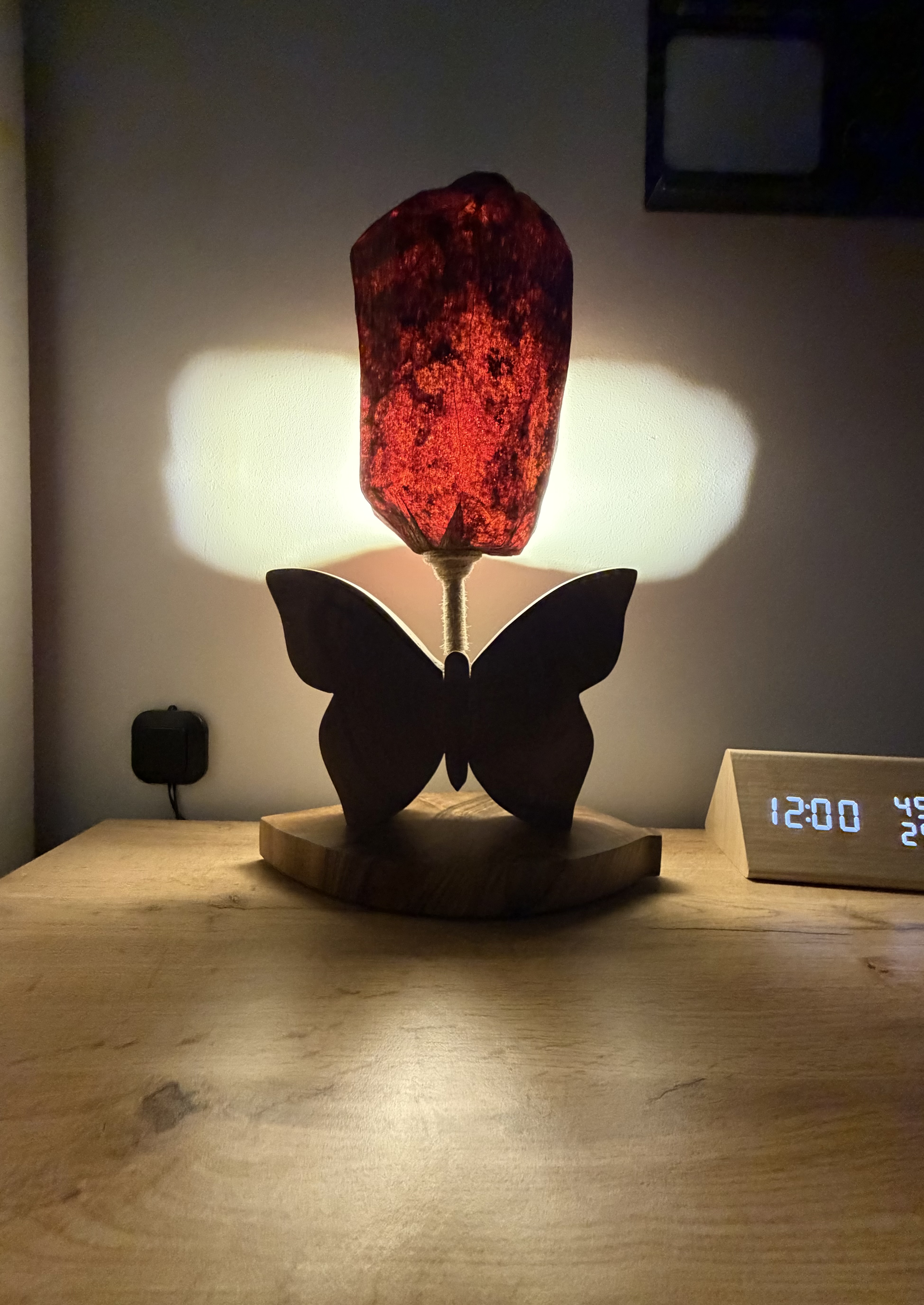 Leptir stona lampa — slika 3