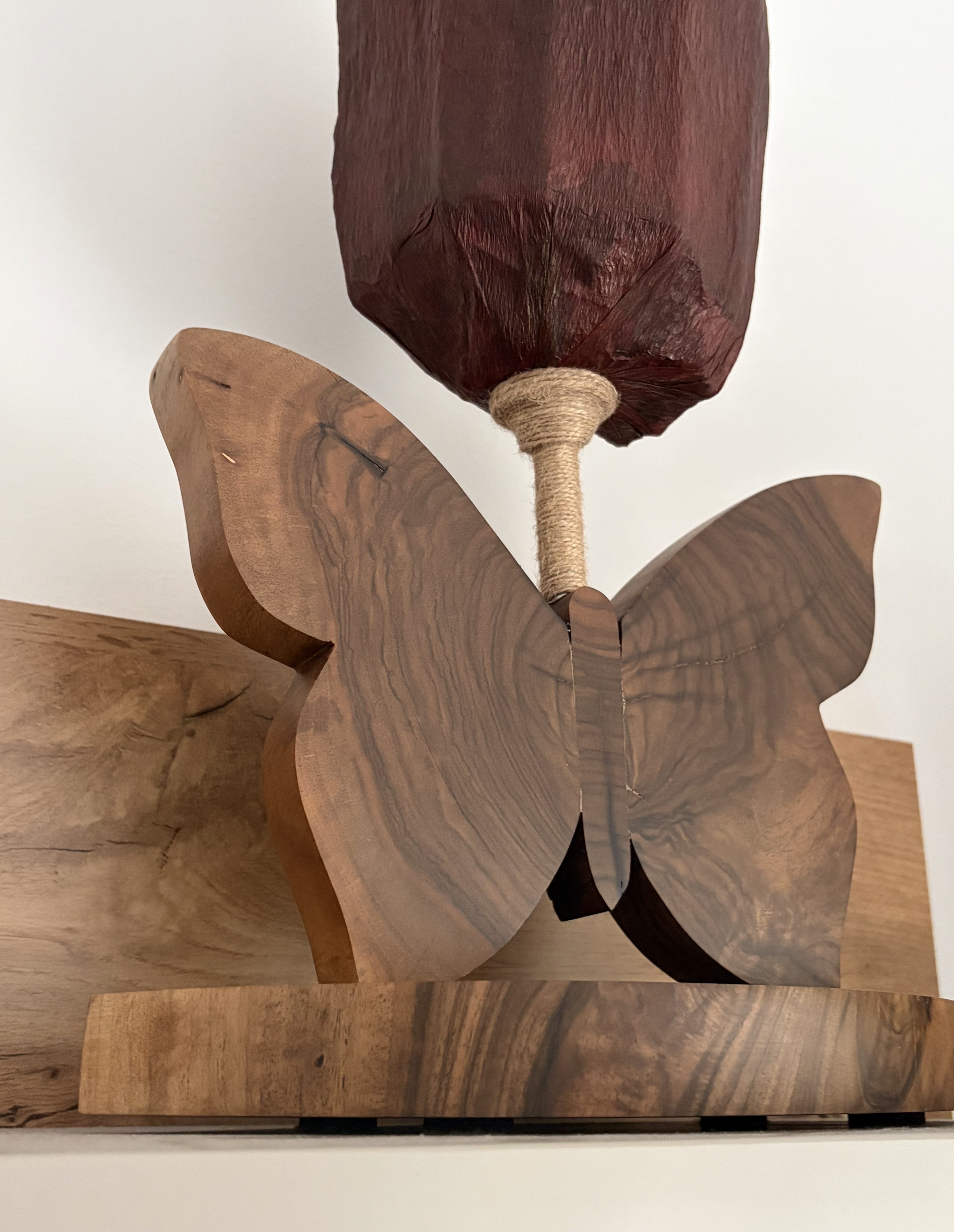 Leptir stona lampa — slika 5