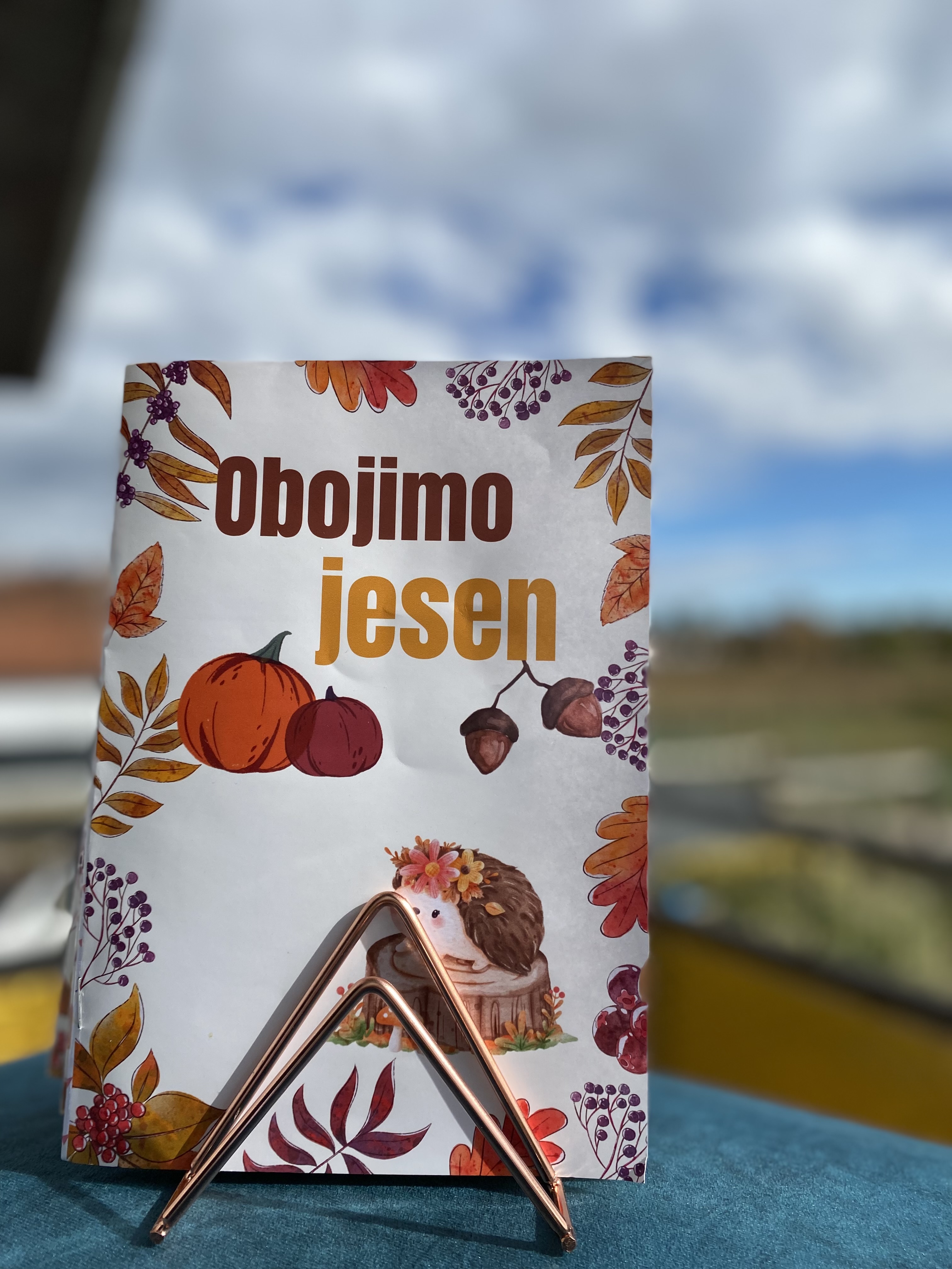 Limitirano izdanje -bojanki  — slika 2
