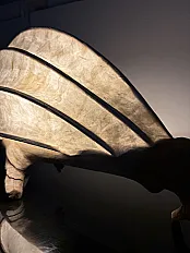 Kapibara - svetlosna skulptura — slika 6