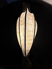 Kapibara - svetlosna skulptura — slika 7