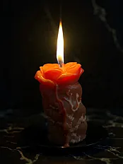 Mirisna ruža — slika 2