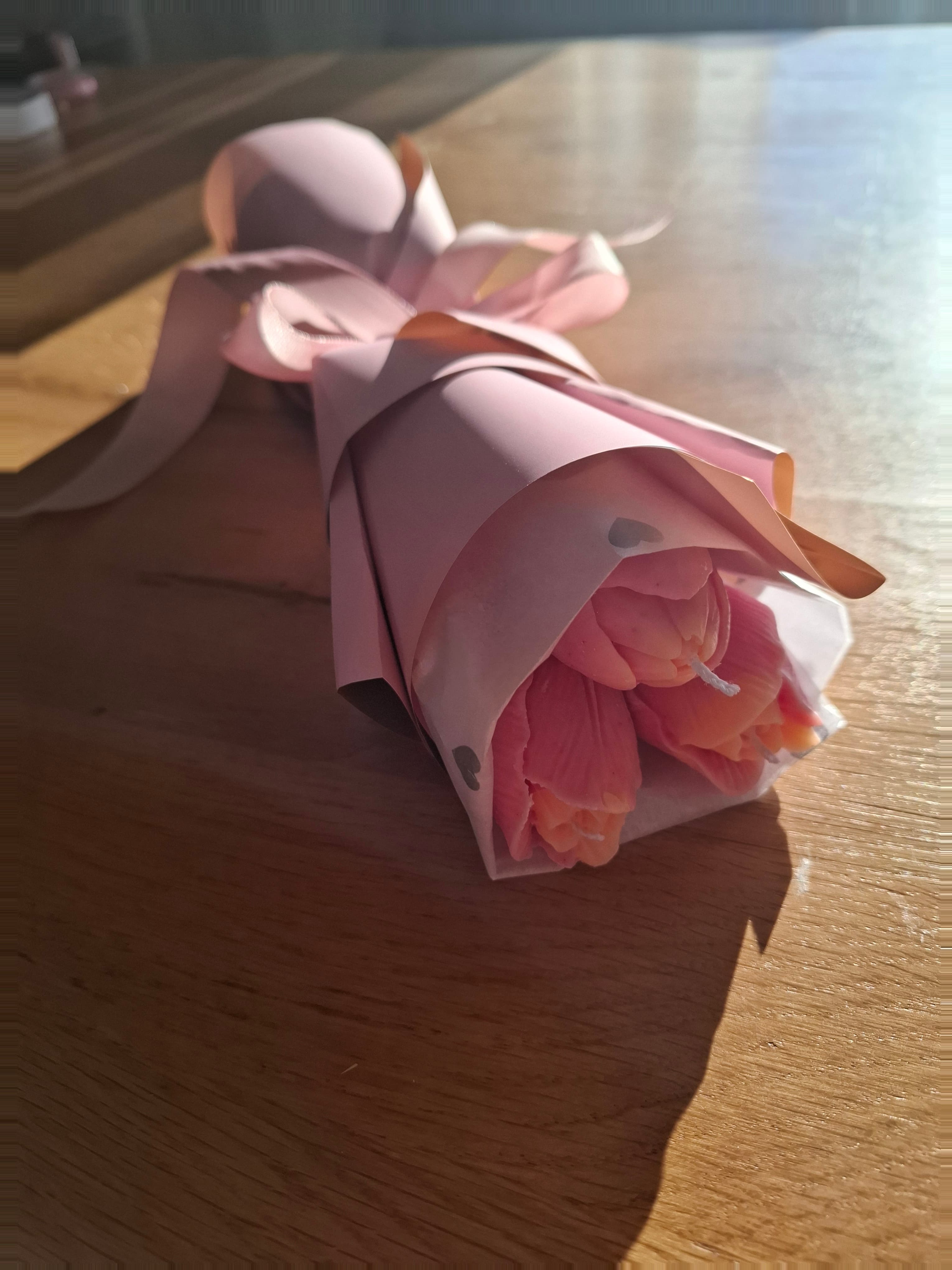 Tulipan — slika 6