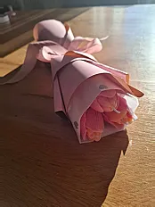 Tulipan — slika 6