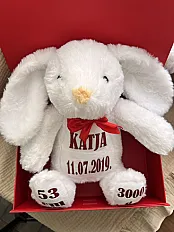 Personalizirani plišanac s podacima — slika 6
