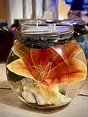 Water Candles — slika 3